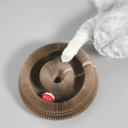 Magic Organ Cat Scratcher